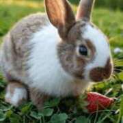 ヒメ日記 2025/08/22 11:00 投稿 結城 すず SUMIRE