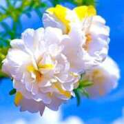 ヒメ日記 2025/08/25 07:00 投稿 結城 すず SUMIRE