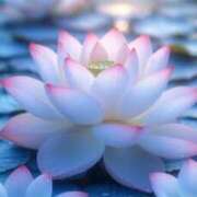 ヒメ日記 2025/08/28 09:00 投稿 結城 すず SUMIRE