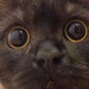 ヒメ日記 2025/09/02 21:00 投稿 結城 すず SUMIRE