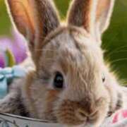 結城 すず ☀️ SUMIRE