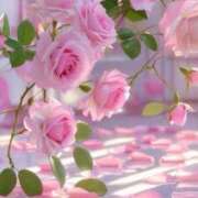 結城 すず ☀️ SUMIRE