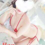 ヒメ日記 2025/03/14 12:16 投稿 らん マイクロビキニSPA TOKYO新宿