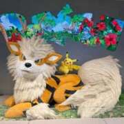 ヒメ日記 2026/03/24 00:03 投稿 氷川台せな THE痴漢電車.com