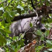 ヒメ日記 2025/09/10 23:12 投稿 田島せな 全裸美女からのカゲキな誘惑