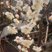 ヒメ日記 2026/03/25 10:45 投稿 みずき 待ちナビ