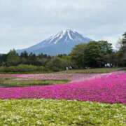 ヒメ日記 2025/05/16 08:47 投稿 Yui Shinonome ELEGANT－エレガント－