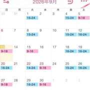 ヒメ日記 2026/09/13 12:05 投稿 Yui Shinonome ELEGANT－エレガント－
