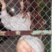 ヒメ日記 2026/03/29 20:09 投稿 ケリー☆K外大 ガン騎シャ！！即またがりたい女子大生