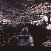 ヒメ日記 2025/09/25 09:56 投稿 錦戸 奈美 30代40代50代と遊ぶなら博多人妻専科24時