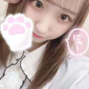 ヒメ日記 2025/01/31 05:12 投稿 桂川ねねみ 池袋3P複数プレイ専門店 ハーレム