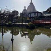 ヒメ日記 2026/03/05 23:36 投稿 みさき 変態なんでも鑑定団