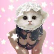 ヒメ日記 2025/01/11 12:36 投稿 みこと 美熟女専科白夜