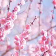 ヒメ日記 2025/02/01 11:02 投稿 みこと 美熟女専科白夜