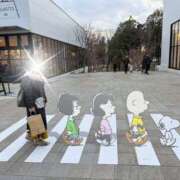 ヒメ日記 2025/02/23 22:50 投稿 みこと 美熟女専科白夜