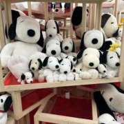 ヒメ日記 2025/02/24 22:29 投稿 みこと 美熟女専科白夜