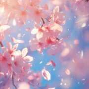 ヒメ日記 2025/04/01 20:15 投稿 みこと 美熟女専科白夜