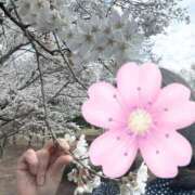 ヒメ日記 2025/04/06 22:25 投稿 みこと 美熟女専科白夜