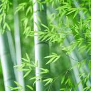 ヒメ日記 2025/07/01 22:23 投稿 みこと 美熟女専科白夜