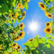 ヒメ日記 2025/08/01 21:59 投稿 みこと 美熟女専科白夜