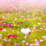 ヒメ日記 2025/10/02 21:39 投稿 みこと 美熟女専科白夜