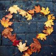 ヒメ日記 2025/11/01 22:20 投稿 みこと 美熟女専科白夜