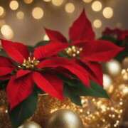 ヒメ日記 2025/12/01 21:34 投稿 みこと 美熟女専科白夜