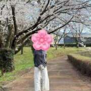 ヒメ日記 2026/03/31 23:08 投稿 みこと 美熟女専科白夜