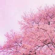 ヒメ日記 2026/04/01 22:42 投稿 みこと 美熟女専科白夜