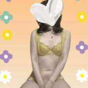 ヒメ日記 2026/04/29 11:05 投稿 みこと 美熟女専科白夜