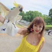 ヒメ日記 2025/05/23 23:42 投稿 山本美羽子 五十路マダム富山店(カサブランカグループ)