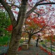 みどり 無題 梅田ゴールデン倶楽部