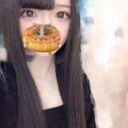 ヒメ日記 2025/01/31 23:15 投稿 ココネ secretgirl大阪