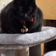 ヒメ日記 2025/05/03 02:53 投稿 えつこ 熟女の風俗最終章 立川店