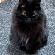 ヒメ日記 2025/09/09 18:00 投稿 えつこ 熟女の風俗最終章 立川店