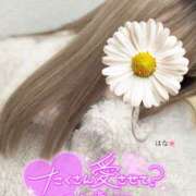 ヒメ日記 2025/12/27 14:55 投稿 はな 藤沢人妻城