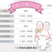 ヒメ日記 2026/01/18 15:44 投稿 はな 藤沢人妻城