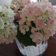 ヒメ日記 2025/05/07 10:03 投稿 ひとみ 北九州人妻倶楽部（三十路、四十路、五十路）