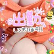 ヒメ日記 2025/04/25 21:32 投稿 みつき イエスグループ熊本 TSUBAKI(ツバキ)