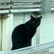 ヒメ日記 2025/11/02 17:07 投稿 ゆま 京都人妻デリヘル倶楽部