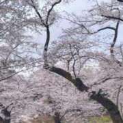 ヒメ日記 2025/04/21 22:38 投稿 くみ 池袋西口でSUGEEE求められる俺のカラダ