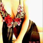 ヒメ日記 2024/12/20 10:12 投稿 黒木明希子 五十路マダム静岡店（カサブランカG）