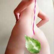 ヒメ日記 2025/02/20 17:46 投稿 黒木明希子 五十路マダム静岡店（カサブランカG）