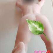 ヒメ日記 2025/04/19 18:46 投稿 黒木明希子 五十路マダム静岡店（カサブランカG）