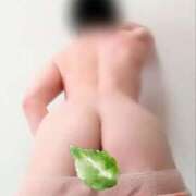 ヒメ日記 2025/04/20 18:46 投稿 黒木明希子 五十路マダム静岡店（カサブランカG）