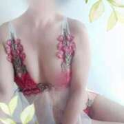 ヒメ日記 2026/03/31 12:46 投稿 黒木明希子 五十路マダム静岡店（カサブランカG）