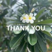 ヒメ日記 2025/05/18 18:09 投稿 心美 おいしい奥様