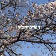 心美 4/8出勤します🙋‍♀️ おいしい奥様