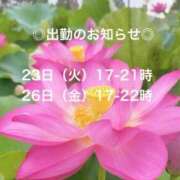 心美 cocomiです🧚‍♀️ おいしい奥様