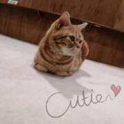 ヒメ日記 2025/01/22 17:37 投稿 りお 広島福山ちゃんこ